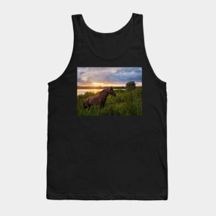 stallion on pasture Tank Top